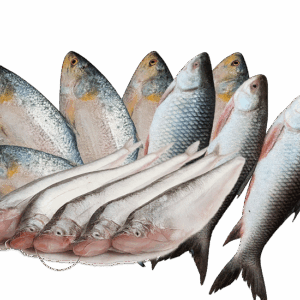 Fish