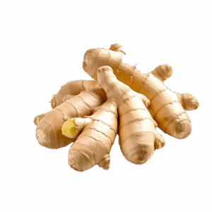 Ginger