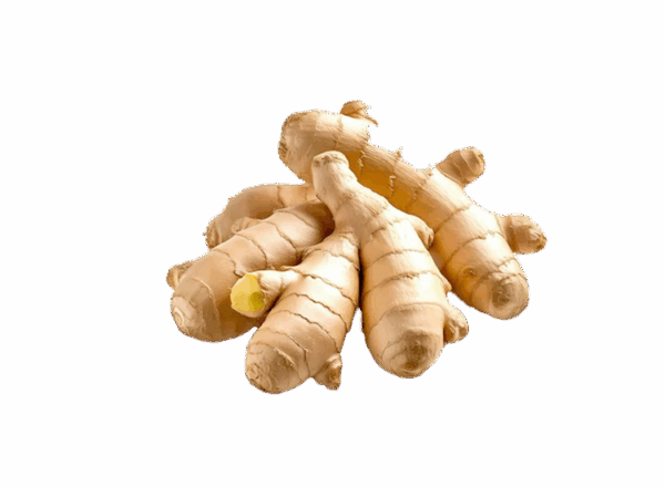 Ginger