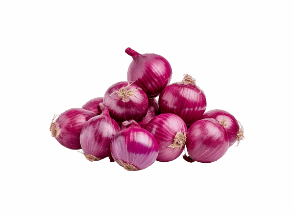 Onion