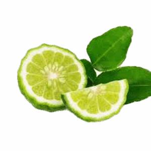 Sathkara