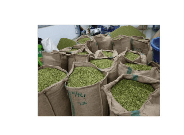 Cardamom - Image 3